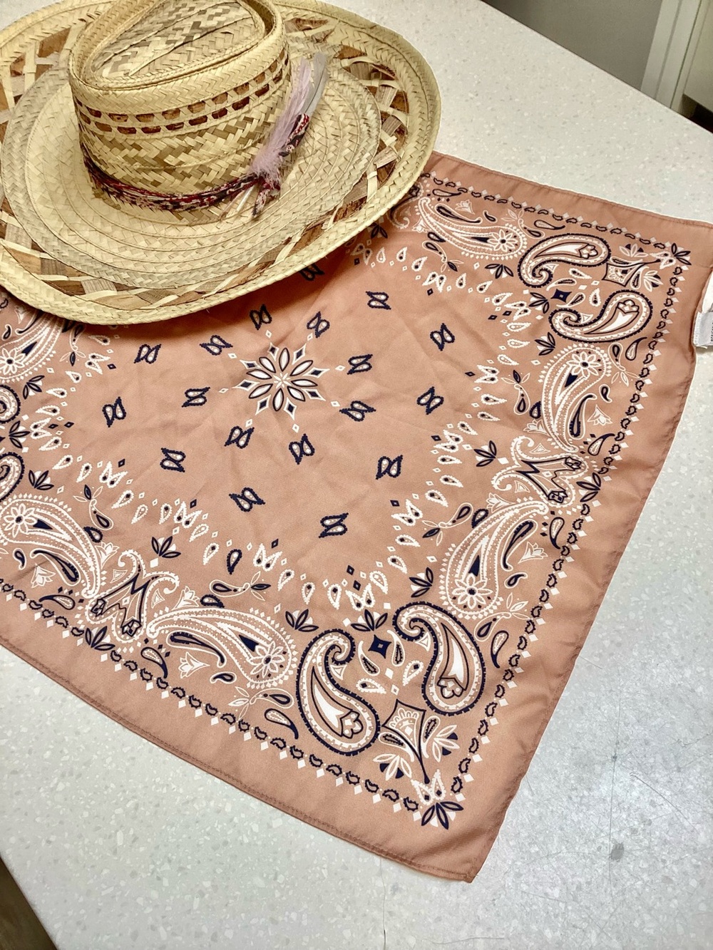 American Eagle Outfitters Dusty Rose Paisley Bandana Scarf